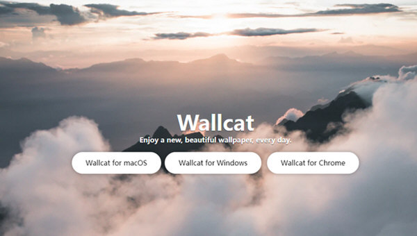 download wallcat