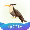 柜柜