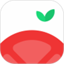 番茄空间APP V2.2.7 官方最新版