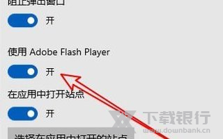 edge浏览器设置flash教程图片5
