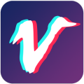 视频豆豆app v3.6.2 安卓版