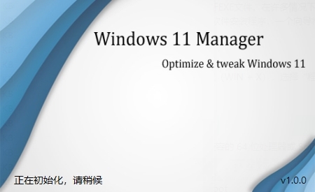 Windows11Manager破解版图片2