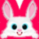 小飞兔 v1.0 电脑版