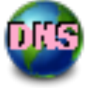DNSLookupView便携版 v1.06 免安装版
