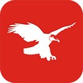 战鹰舆情app v5.0.1 最新版