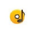 枫叶音频格式转换器 v9.4.0.0 免费版