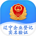 辽宁企业登记实名验证平台app v1.6 官方最新版